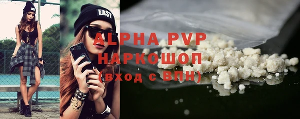стаф Горняк