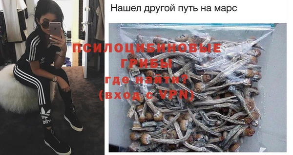 стаф Горняк