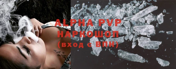 стаф Горняк
