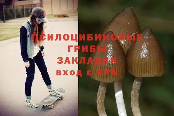 кокаин VHQ Горнозаводск