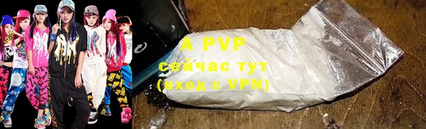 стаф Горняк