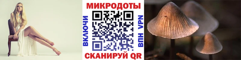 Галлюциногенные грибы Psilocybe  что такое наркотик  Приволжский 
